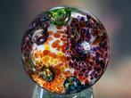 Caithness Glass - Presse-papier - Abstrakte Blüten (Ltd., Antiquités & Art