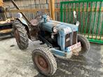 1958 Fordson delta Oldtimer tractor, Zakelijke goederen, Landbouw | Tractoren, Nieuw