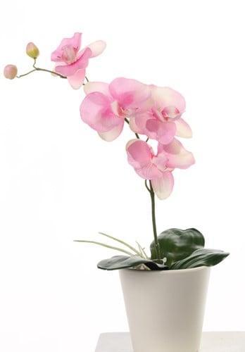 Orchidee phalaenopsis roze zijden plant blad en wortel 44 cm, Huis en Inrichting, Woonaccessoires | Kunstplanten en Kunstbloemen