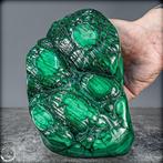 Natuurlijke zeer zeldzame gepolijste drakenhuid. Malachiet, Verzamelen, Mineralen en Fossielen