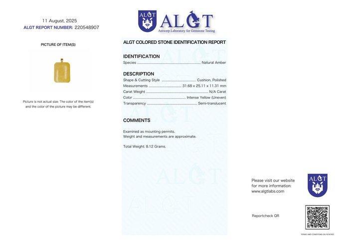 ALGT Gecertificeerd - Grote en Zeer Exclusieve Natuurlijke, Verzamelen, Mineralen en Fossielen
