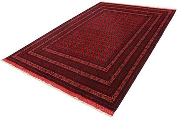 Afghan, Buchara, Traditioneel handgemaakt rood tapijt van beschikbaar voor biedingen