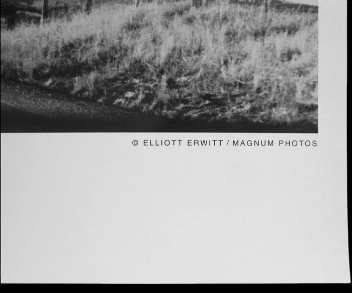 Elliott Erwitt (1928–2018) - Wyoming, USA, 1954, Antiek en Kunst, Kunst | Designobjecten