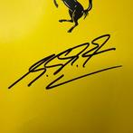 Ferrari - Michael Schumacher - 2004 - Brochure