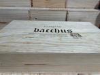 2019 Chateau de Bacchus Ex Chapelle - Rhône, ventoux - 6, Verzamelen, Wijnen, Nieuw