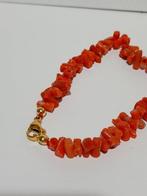 Koraal Koraal - corallium rubrum (Zonder minimumprijs)