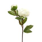 Grote pioentak 77cm. LARGE PEONY SPRAY WHITE pioen wit, Nieuw