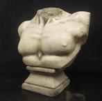 sculptuur, Busto acefalo - 51 cm - Carrara marmer