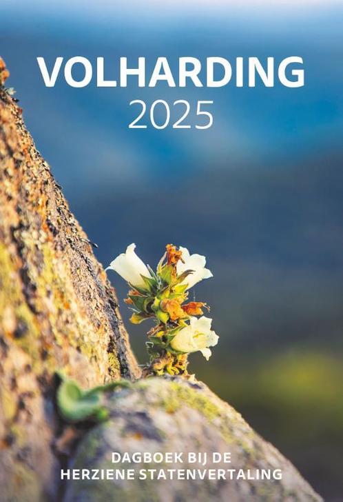 Volharding / 2025 9789085203551, Boeken, Godsdienst en Theologie, Gelezen, Verzenden