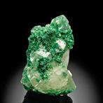 Intense groene malachiet met glanzende calciet Kristalen -, Verzamelen