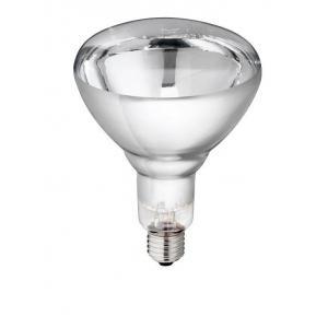 Warmtelamp lamp van gehard glas philips 250w 240v, helder -, Articles professionnels, Agriculture | Aliments pour bétail