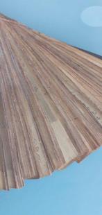 feuilles de Latanier - Lontar sur Palmier XIXème Inde du Sud, Antiek en Kunst