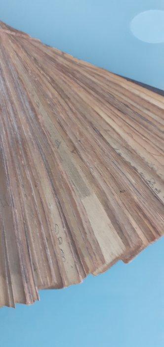 feuilles de Latanier - Lontar sur Palmier XIXème Inde du Sud, Antiek en Kunst, Kunst | Niet-Westerse kunst