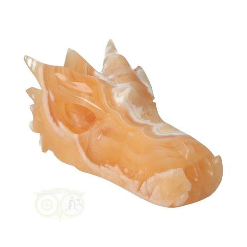 Calciet draken schedel Nr 288 - 563 gram, Handtassen en Accessoires, Edelstenen, Nieuw, Verzenden