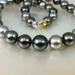 Collier - 18 carats Or blanc Perle - Diamant - Rainbow de, Handtassen en Accessoires, Nieuw