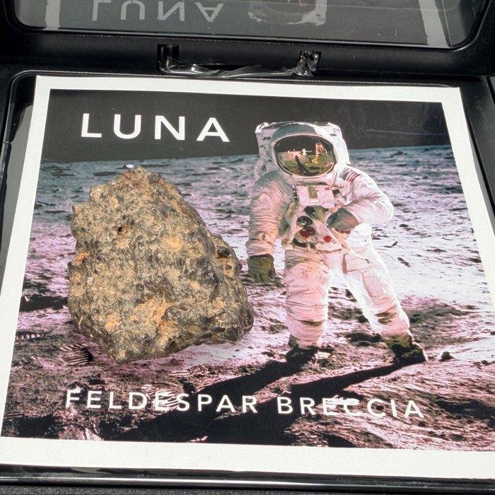 MOON NWA 13942 XXL SUPER!!! Lunar Meteoriet - 12.3 g, Verzamelen, Mineralen en Fossielen