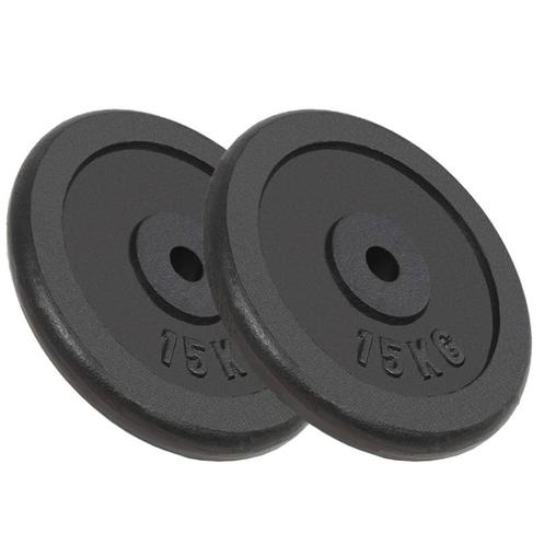 vidaXL Halterschijven 2 st 2x15 kg gietijzer, Sport en Fitness, Fitnessmaterialen, Nieuw, Verzenden