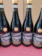 2019 Lamberti - Amarone della Valpolicella - 6 Bouteilles, Nieuw