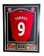 Liverpool - Europese voetbal competitie - Fernando Torres -, Nieuw