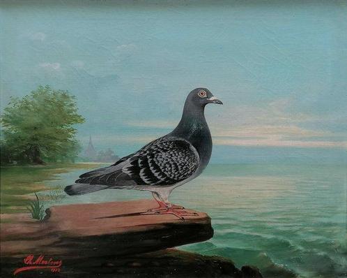 Charles Mertens (1865-1919) - Pigeon in a lake landscape, Antiek en Kunst, Kunst | Schilderijen | Klassiek