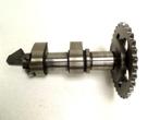 BMW F 650 GS 2004-2005 43VT NOKKENAS, Motoren, Gebruikt