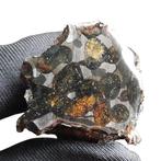 SERICHO - meteoriet pallasiet uit Kenia - eindstuk - Hoogte: