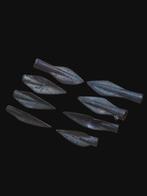 Ancient Greece & Roman Brons, Lot of 8 Pijlpunt (Zonder