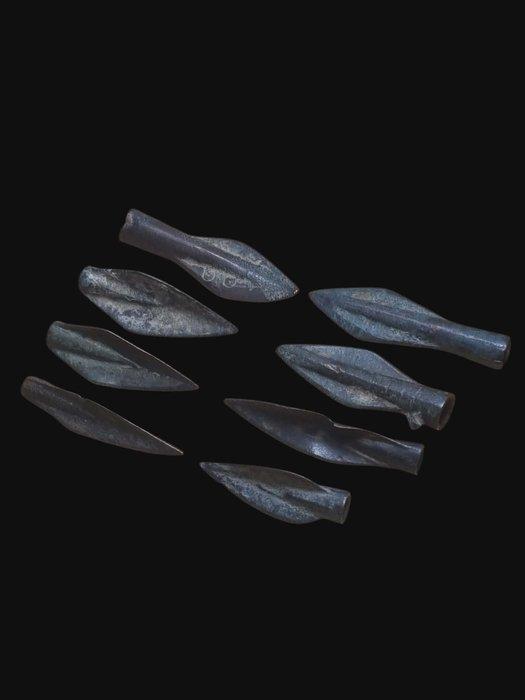 Ancient Greece & Roman Brons, Lot of 8 Pijlpunt (Zonder, Antiquités & Art, Antiquités | Autres Antiquités