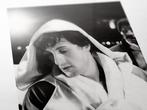 Rocky - Collection - XXL Fine Art Photography - 80x60 cm ! -, Nieuw