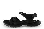 Ecco sandalen in maat 40 Zwart | 15% korting, Kleding | Dames, Schoenen, Ecco, Verzenden, Zwart, Sandalen of Muiltjes