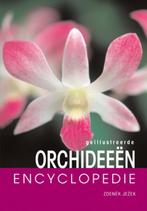 Geillustreerde orchideeen encyclopedie / Encyclopedie, Zo goed als nieuw, Verzenden, [{:name=>'P. Hora', :role=>'B06'}, {:name=>'Zdenek Jezek', :role=>'A01'}]