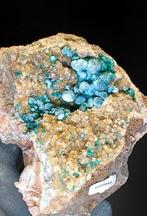 Malachite sur Quartz Nouvelle découverte Cristaux sur, Collections