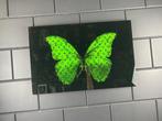 Mike Blackarts - Green Butterfly with diamonds plexiglass