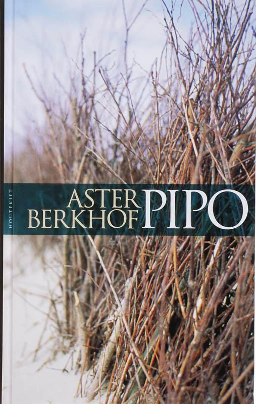 Pipo 9789052409931 A. Berkhof, Boeken, Romans, Zo goed als nieuw, Verzenden