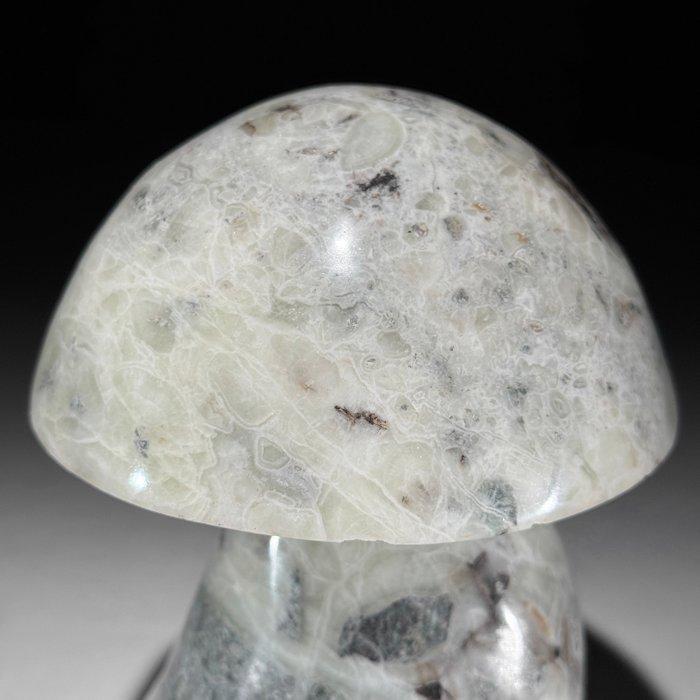 GEEN RESERVEPRIJS - Handgesneden Onyx paddestoel, Antiek en Kunst, Kunst | Designobjecten