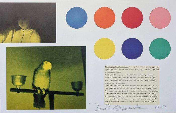 Dennis Oppenheim (1938 - 2011) - Color Association for, Antiek en Kunst, Antiek | Overige Antiek