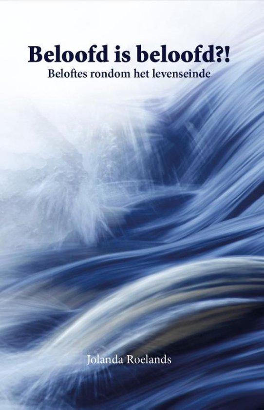 Beloofd is beloofd?! 9789492010292 Jolanda Roelands, Boeken, Politiek en Maatschappij, Gelezen, Verzenden