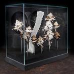 Maritieme collectie onder glazen koepel - Euplectella