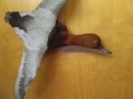 Pochard Drake volant Support de corps entier pour taxidermie, Verzamelen, Nieuw