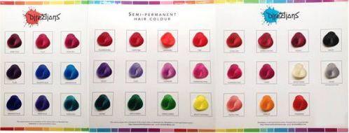 La Riche Color Chart (Kleurboeken), Bijoux, Sacs & Beauté, Beauté | Soins des cheveux, Envoi