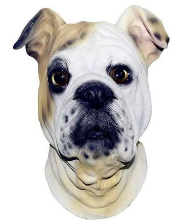 latex hondenmasker, Verzenden
