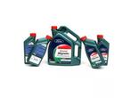 ORIGINEEL Ford CASTROL Motorolie Olie D 0W30 Magnatec Profes, Ophalen of Verzenden