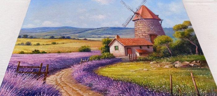 Raimondo Pacini (1974) - A windmill in Provence, Antiek en Kunst, Kunst | Schilderijen | Klassiek