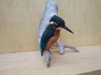 Vintage Europese ijsvogel - jaren 90 - Taxidermie volledige, Verzamelen, Nieuw