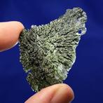 XL MOLDAVITE -METEORIET-INSCHLAG- (Tsjechië) 14,5 miljoen, Verzamelen