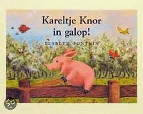 KARELTJE KNOR IN GALOP 9789052471280 E. Fontein, Boeken, Prentenboeken en Plaatjesalbums, Gelezen, Verzenden