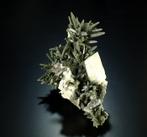 Verbazingwekkende Prase-kwartsgroen Kristalcluster -