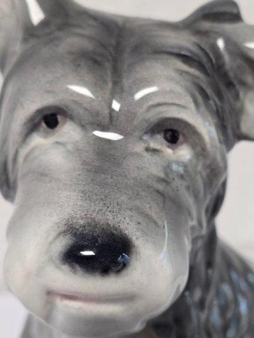 Goebel - Figuur - Antiker Goebel Porzellan Hund - TMK1 - beschikbaar voor biedingen