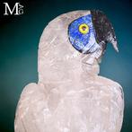 Verzameling Vogels: Vleugelrijke Pracht - Blue Macaw in