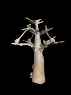 Baobab - Dogon - Mali (Zonder Minimumprijs), Antiek en Kunst